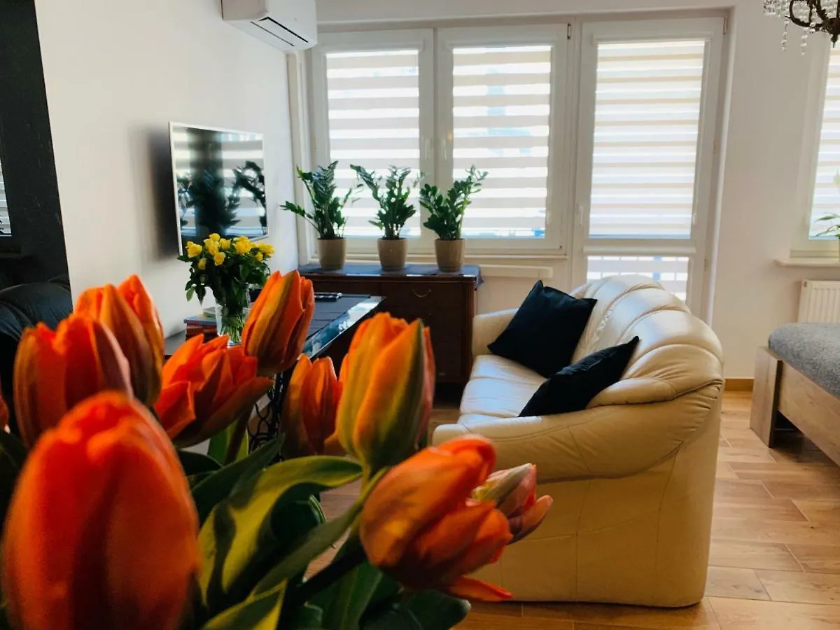 Patronus Vip Apartments City Center Warsaw Poland